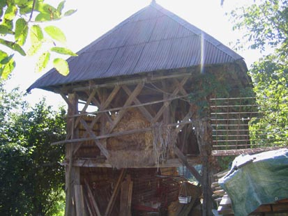eika image